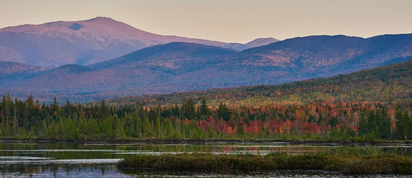 white mountains.webp