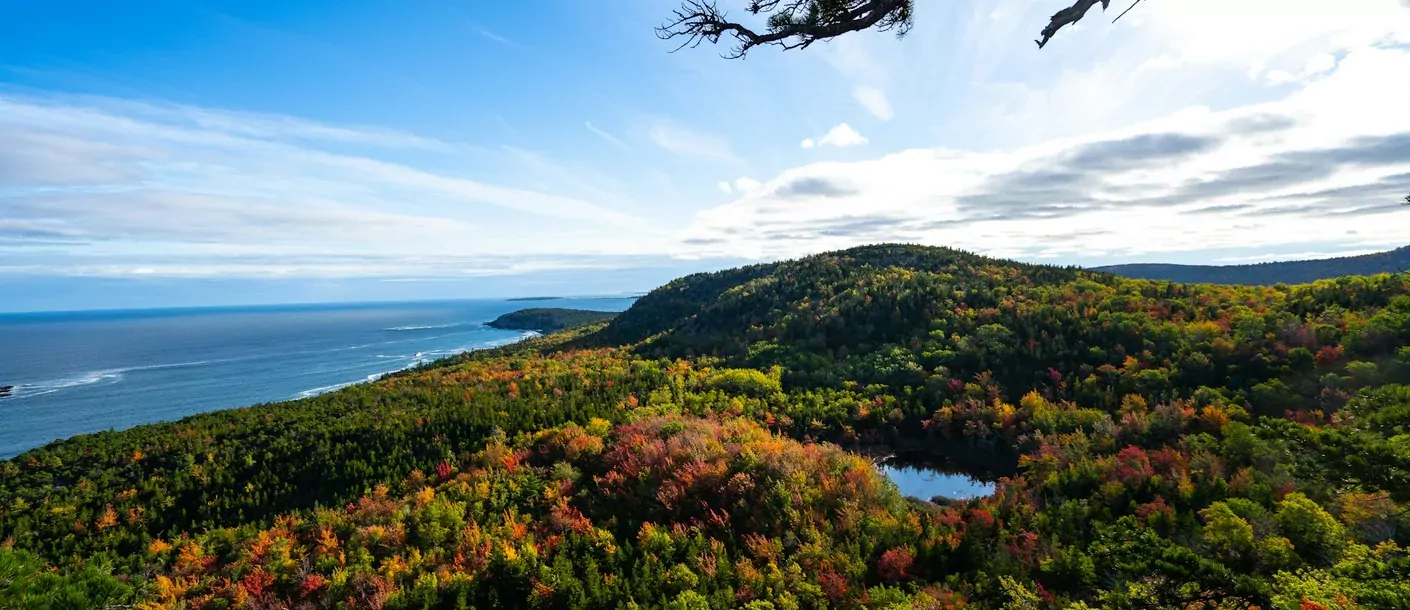 acadia national park.webp