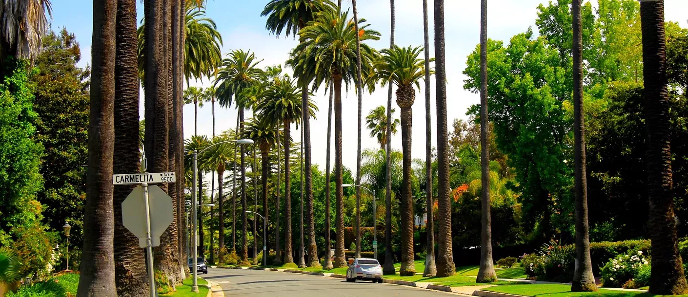 los angeles (2).webp