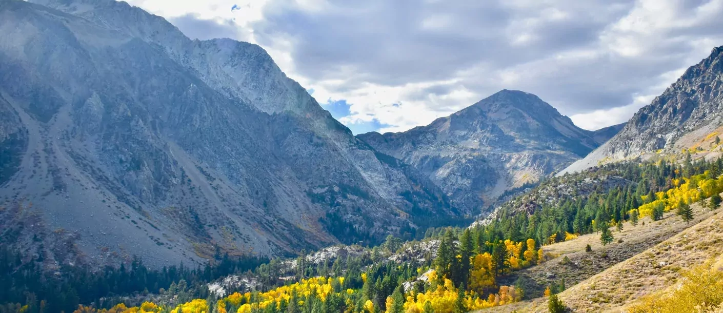 tioga pass.webp