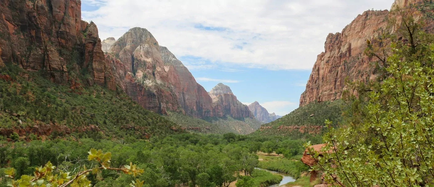 zion national park.webp