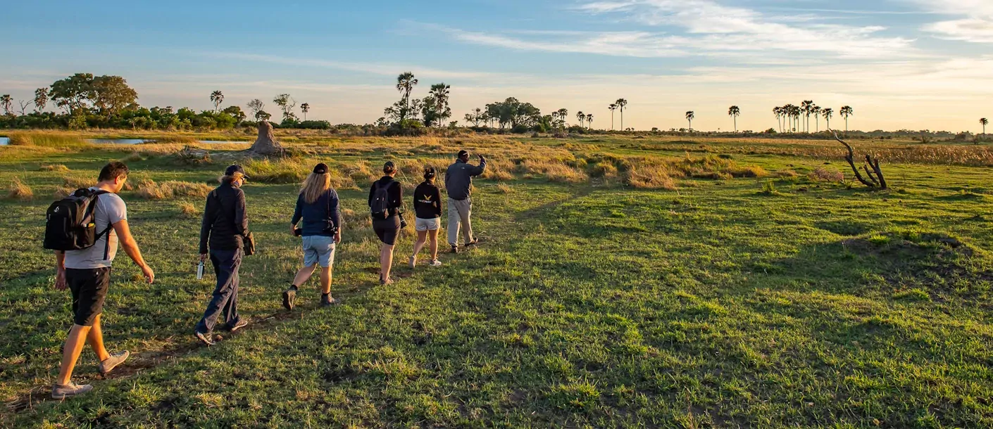sunway botswana okavango bruce taylor-7144.webp