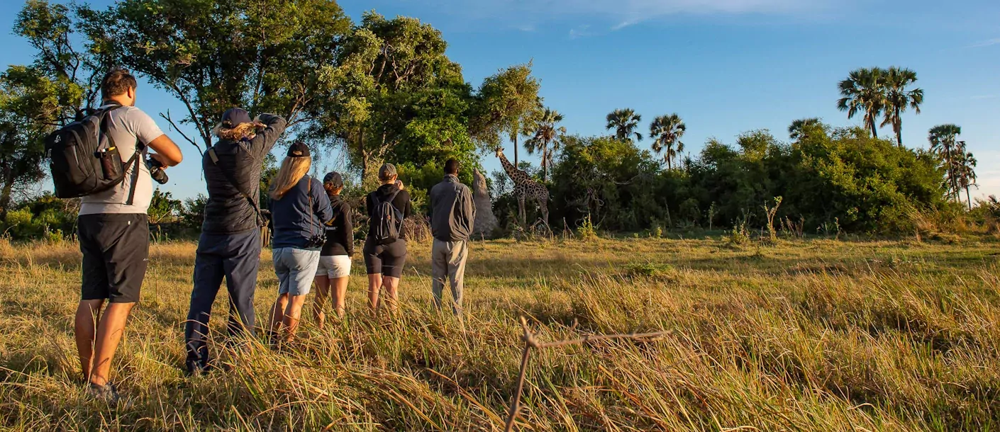 sunway botswana okavango bruce taylor-7164.webp