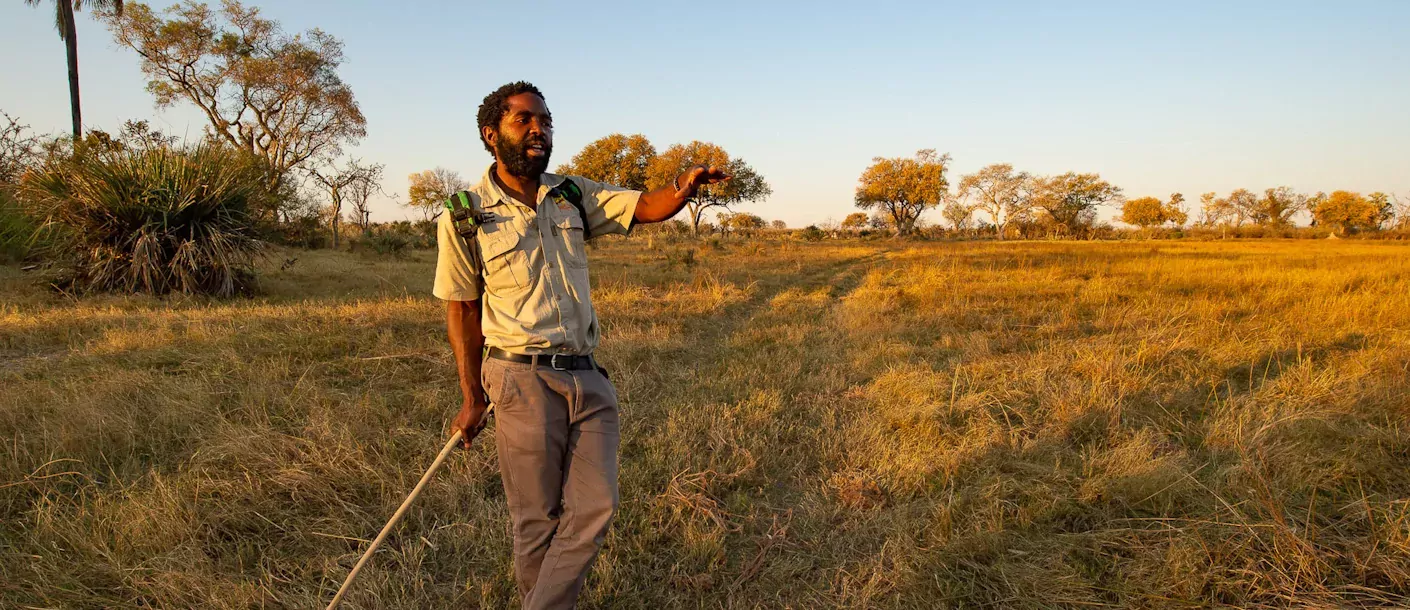 sunway botswana okavango delta bruce taylor-3807.webp