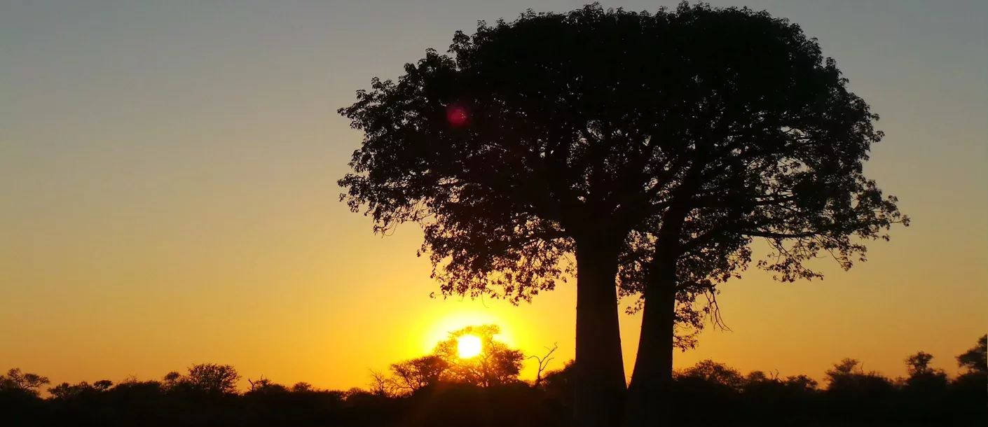limpopo - zondsondergang.webp