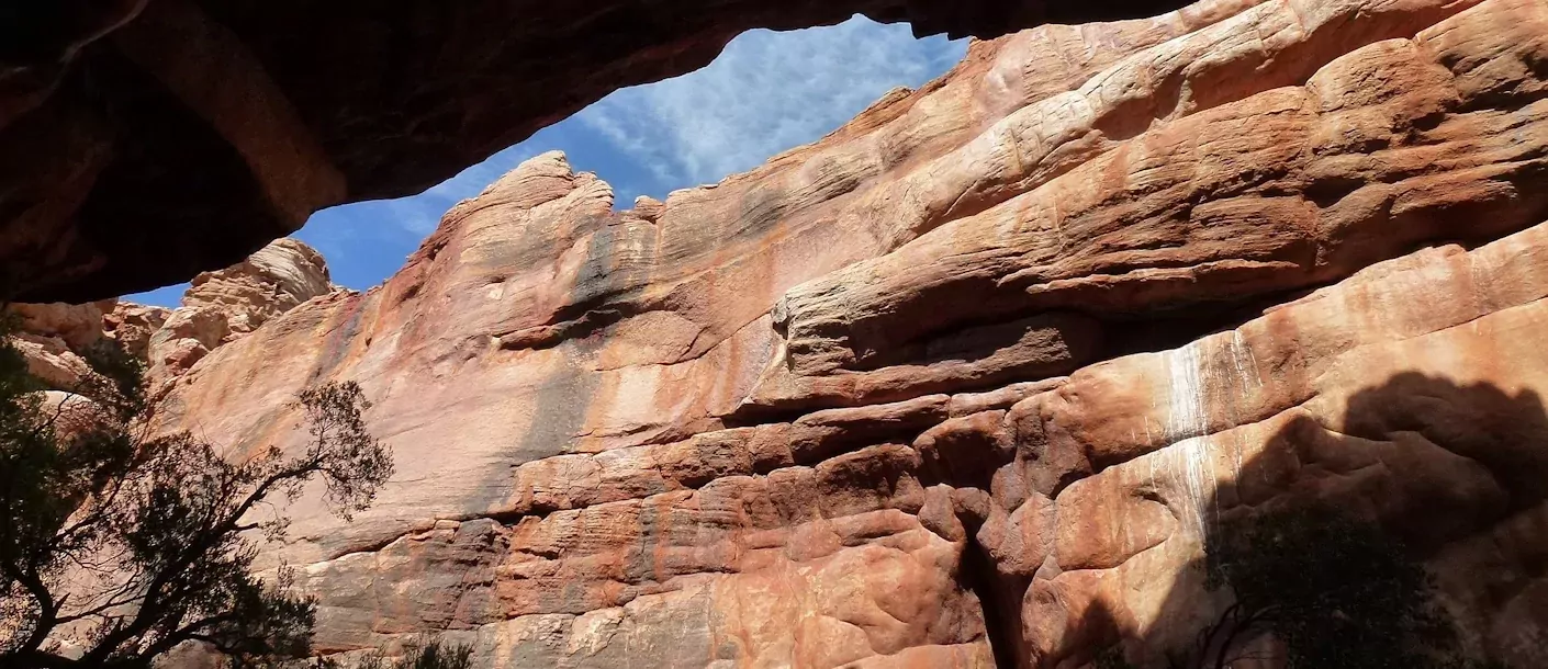 cederberg 2.webp
