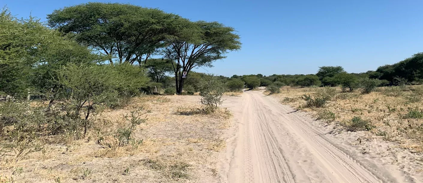 chobe - zandweg.webp