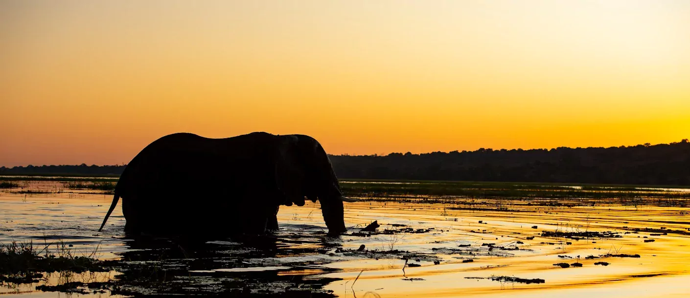 sunway botswana chobe bruce taylor-3745 (1).webp