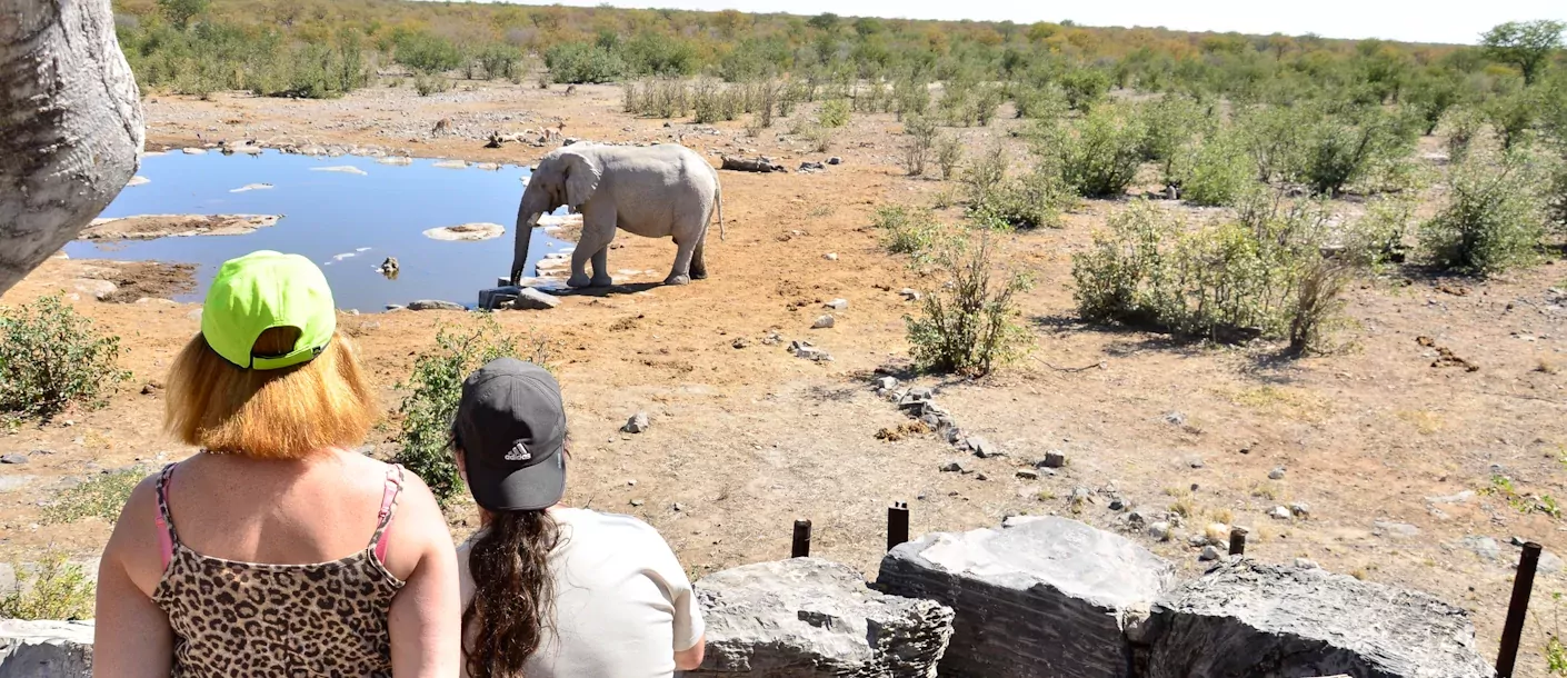 sunway namibia etosha halali waterhole - rob swanepoel-0162 (11).webp