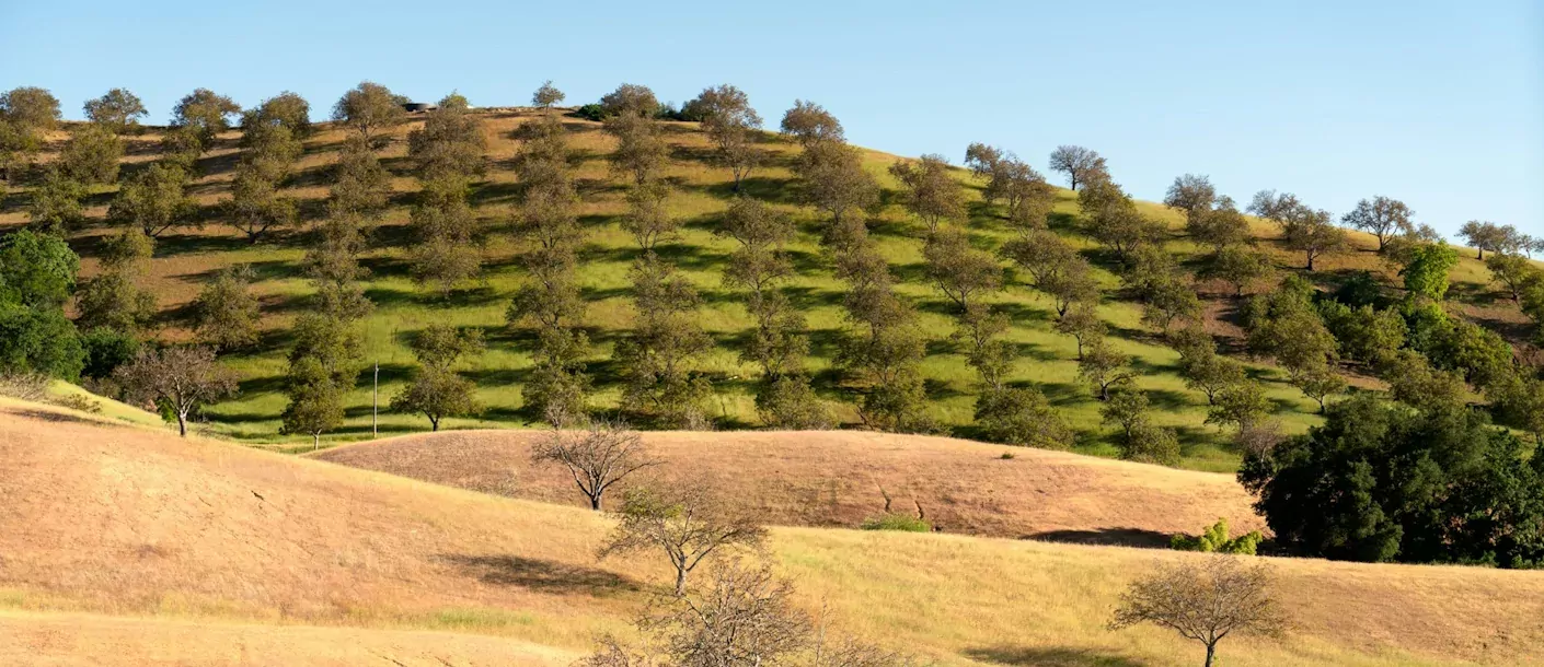 paso-robles.webp