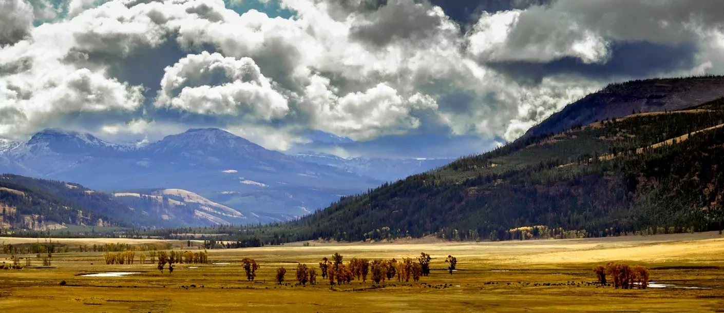 lamar-valley.webp