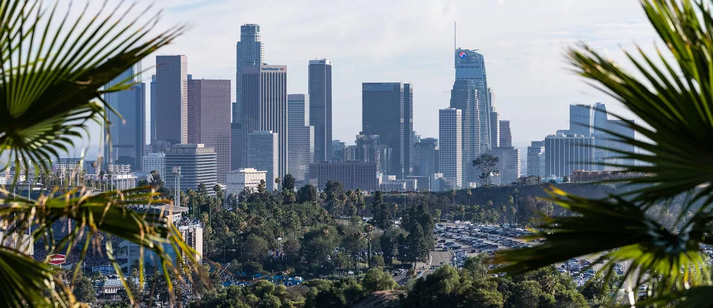 los angeles.webp