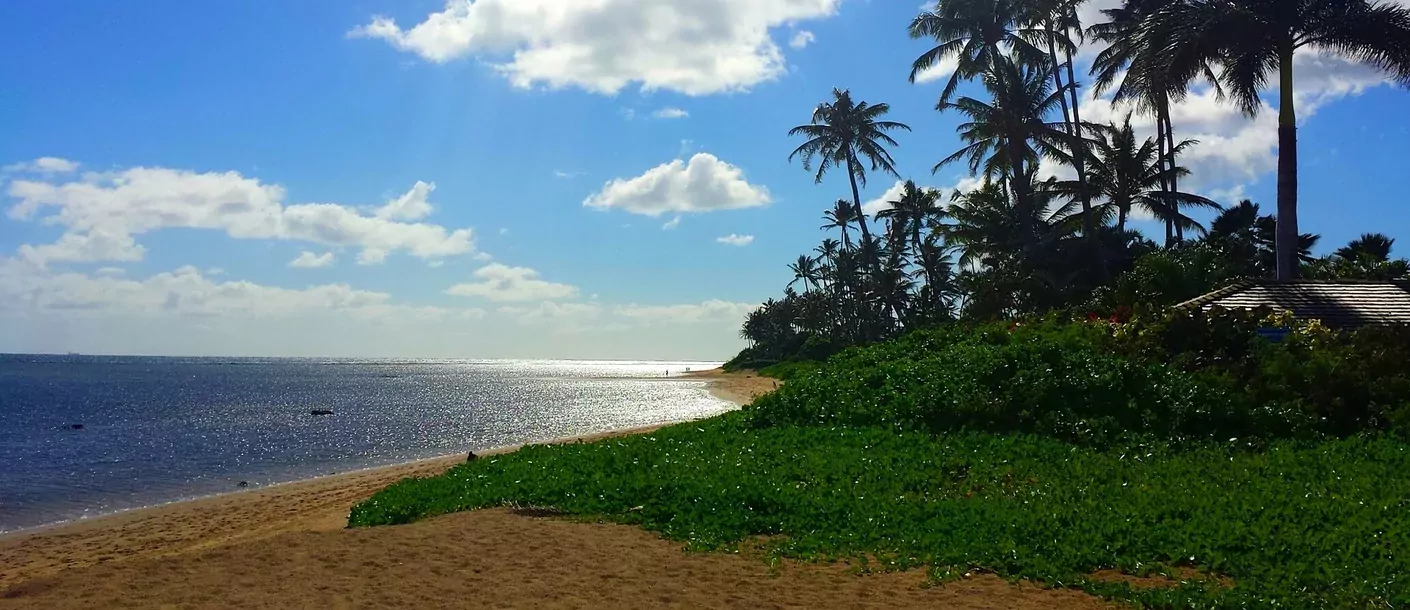 hawaii strand 2.webp