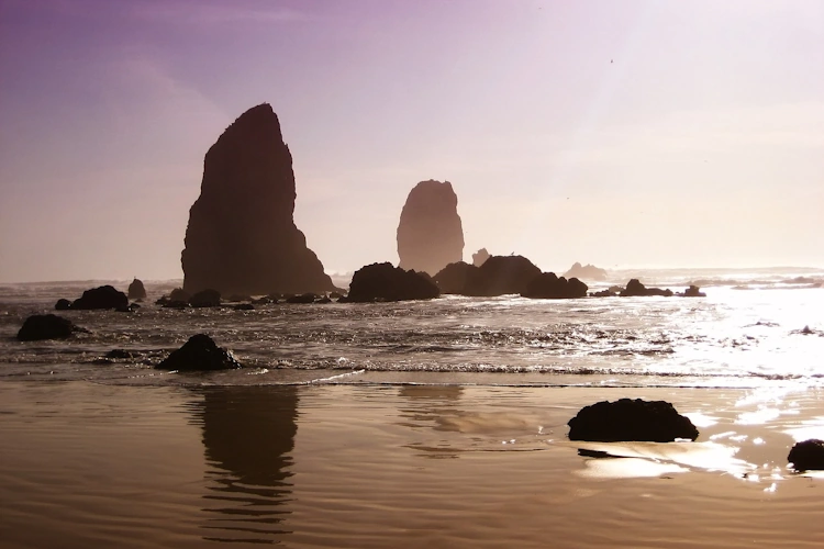 gold beach.webp