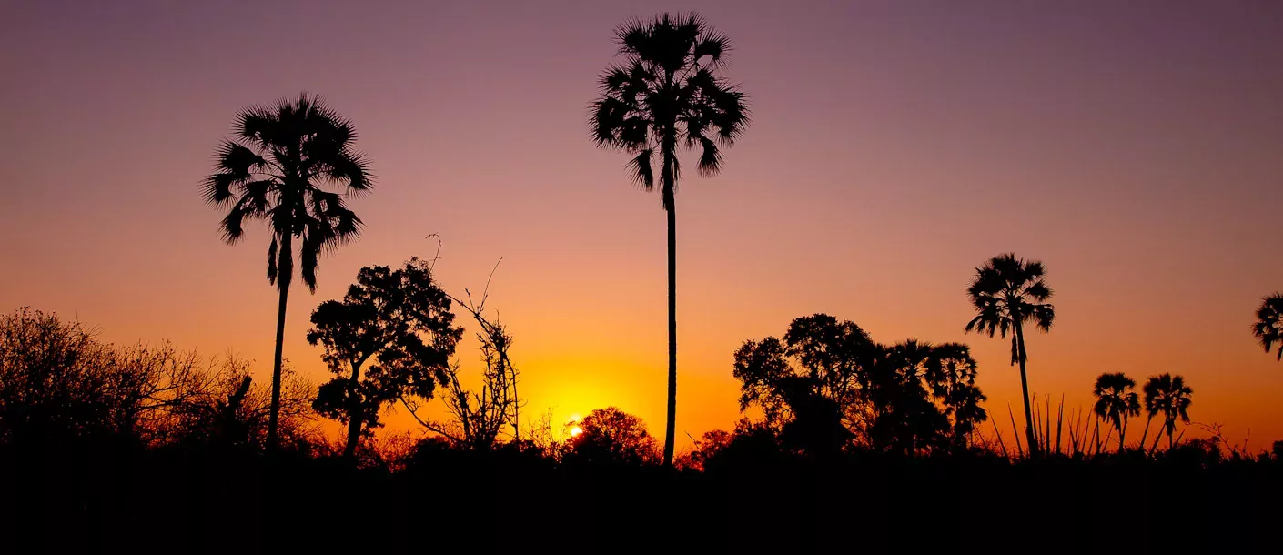 van kaapstad tot victoria watervallen okavango 004 groot.webp