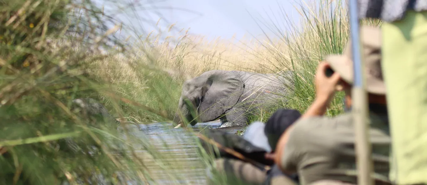 van kaapstad tot victoria watervallen botswana okavango 005 groot.webp