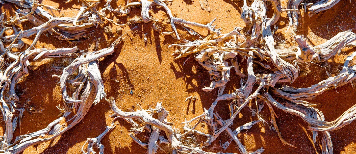 namibië en botswana van desert naar delta groot 016 namibia sossusvlei.webp