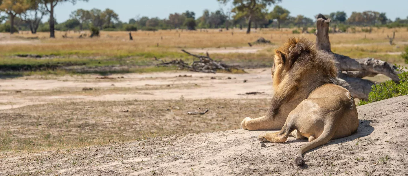 oude wegen door zimbabwe & zambia sunway zimbabwe hwange np 10007.webp