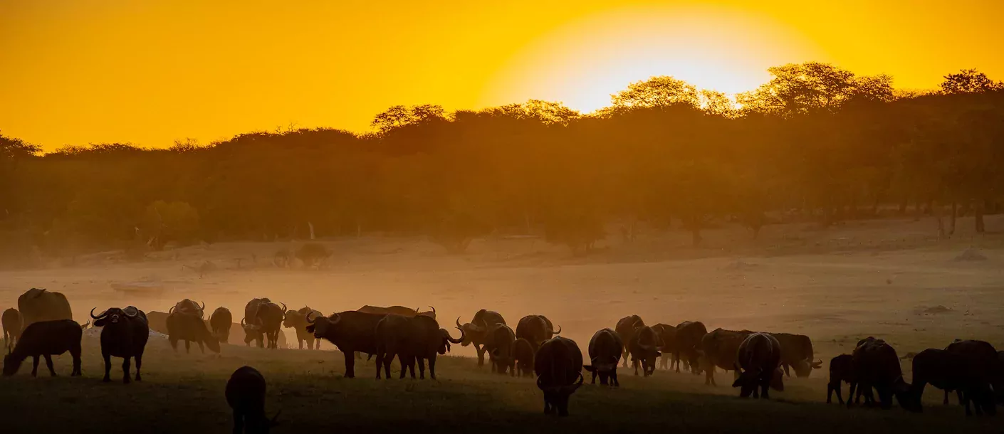 oude wegen door zimbabwe & zambia sunway zimbabwe hwange np 10008.webp