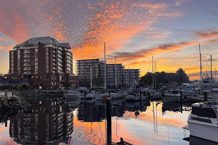 coast victoria hotel & marina by apa - exterieur 1.webp