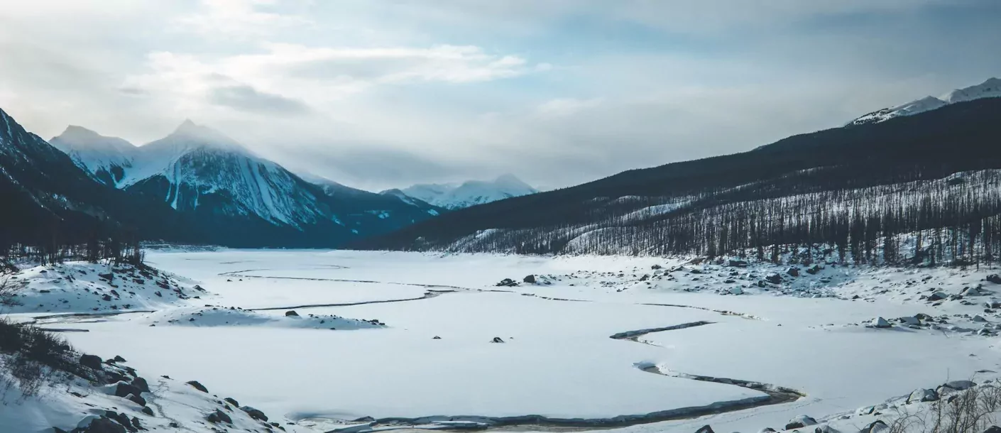 Jasper medicinelake 118.webp