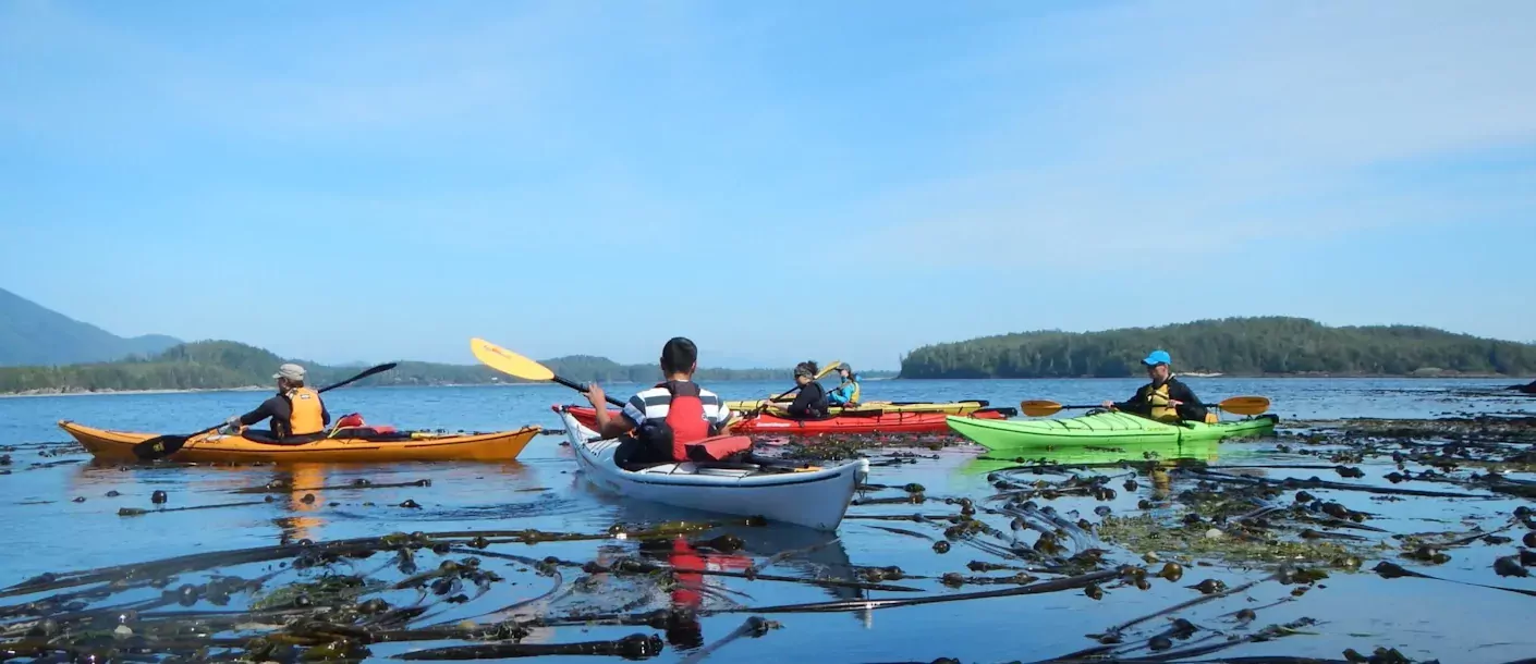 canada tofino kayak.webp