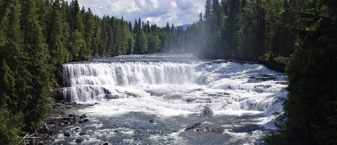 wells gray provincial park dawson falls.webp