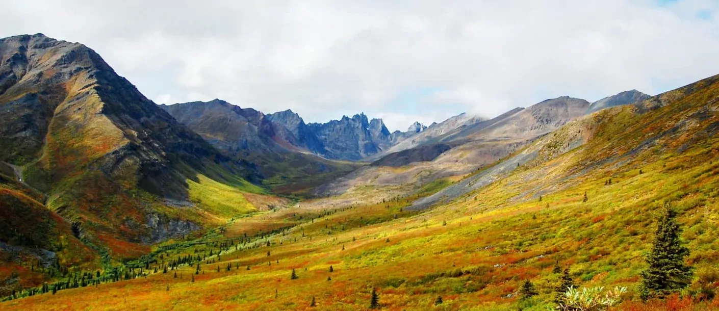 tombstone mountains_groot_2.webp