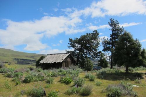 2507thedalles