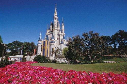 Klik op de afbeelding voor een vergroting Disney Orlando