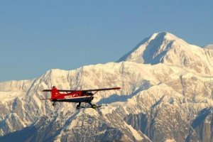 Rondvlucht Mount McKinley & Denali