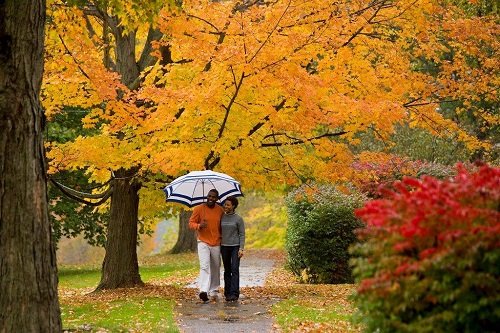 new england autumn