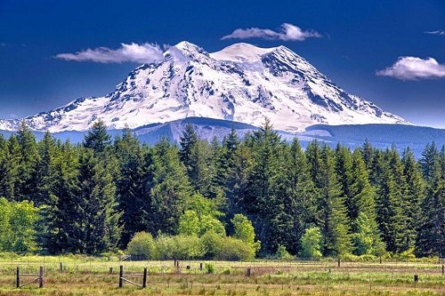 Mount Ranier National Park