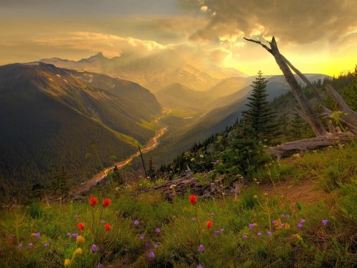 Klik op de afbeelding voor een vergroting Mount Raineer National Park