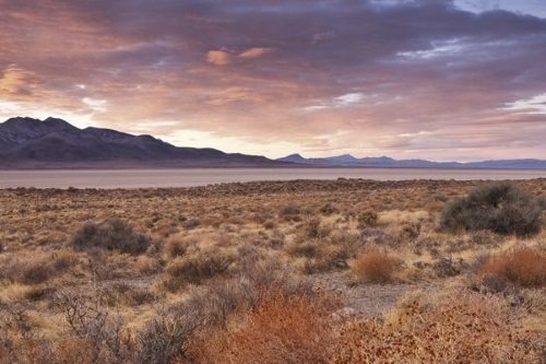 Klik op de afbeelding voor een vergroting Black Rock Desert