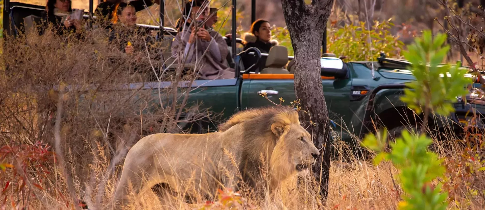 De Big Five Route van Zuid-Afrika sfeerfoto 006.webp