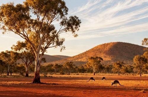 TEST_Groepsreis De hoogtepunten van Australië & Nieuw-Zeeland (2.