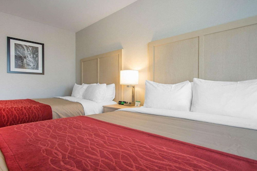 double - Comfort Inn & Suites Campbell River - CanadaPlus