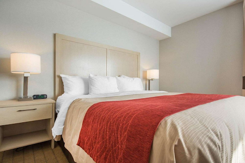 King - Comfort Inn & Suites Campbell River - CanadaPlus