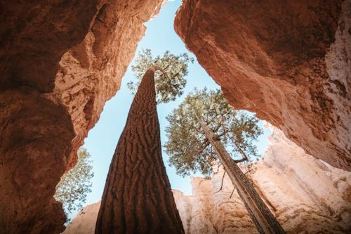 Bryce -© peter-thomas-unsplash