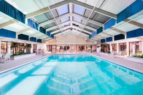 Pool - The Querque - AmerikaPlus