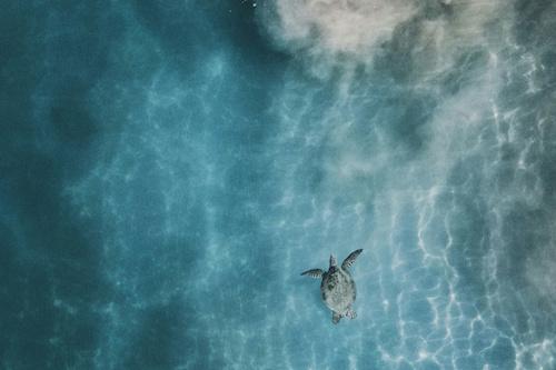 Big Island - mitch-meyers-unsplash