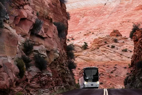 Bus