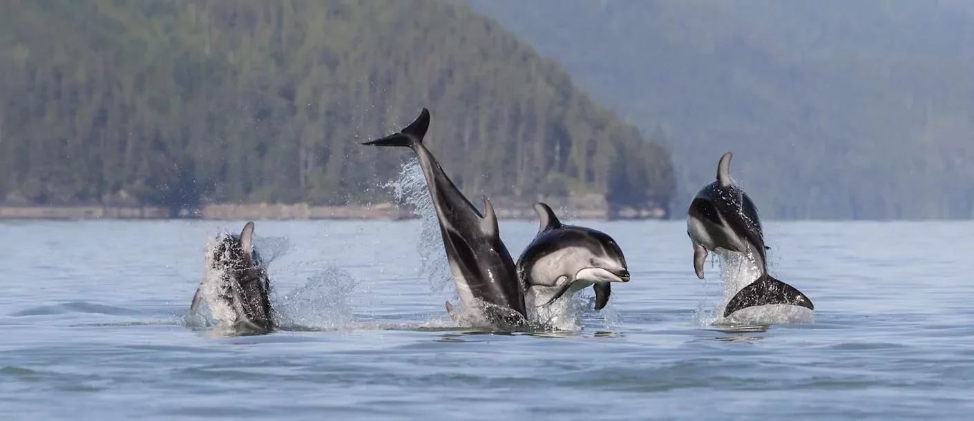 Sailcone's Grizzly Bear Lodge 003.webp