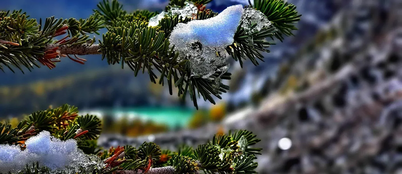 Winteravontuur in de Rockies 014.webp