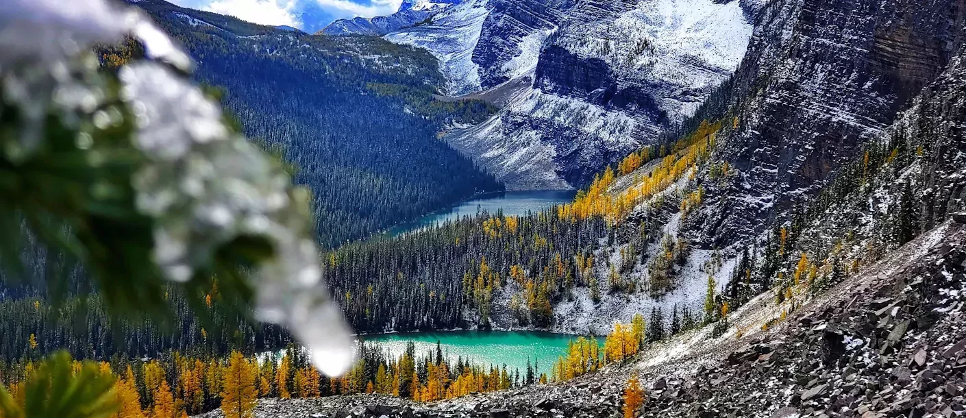 Winteravontuur in de Rockies 017.webp