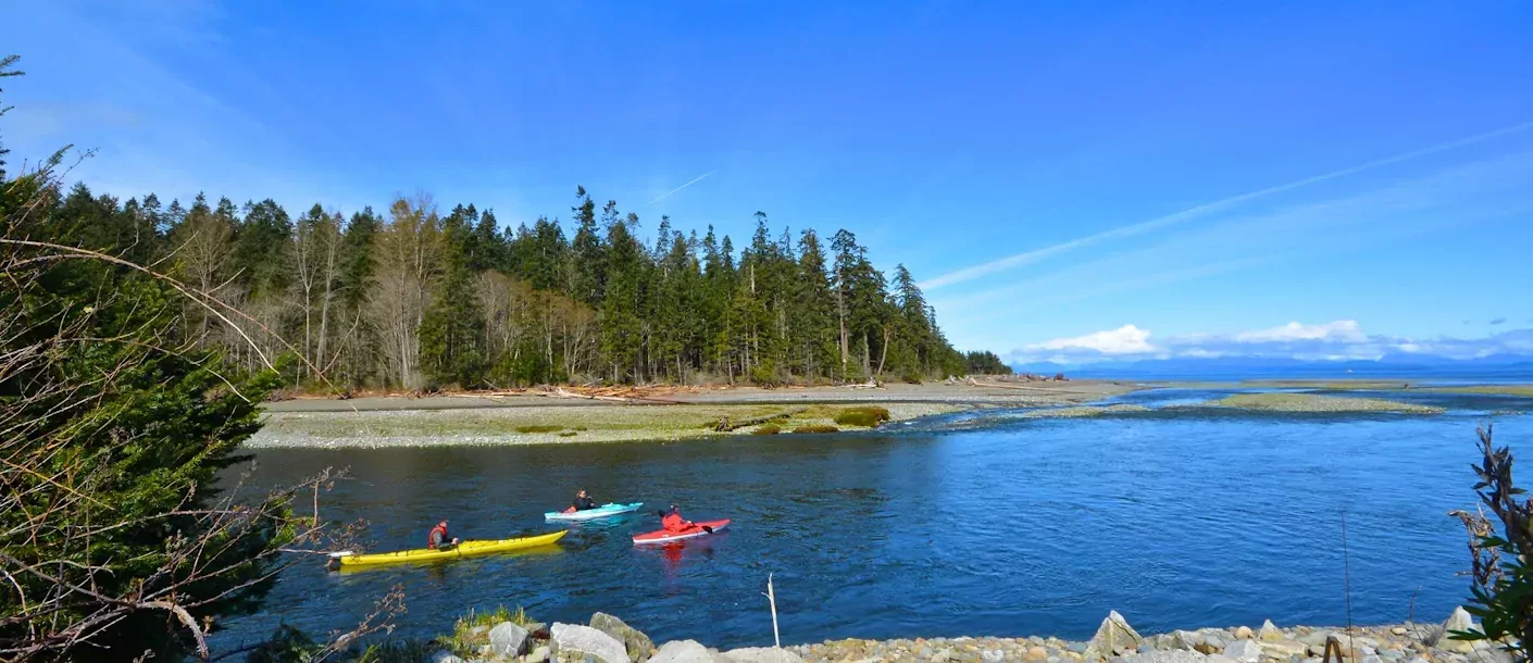 Black Creek 16102025 013.webp