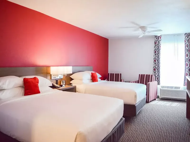 Radisson Hotel Orlando - Bed -  AmerikaPlus.webp