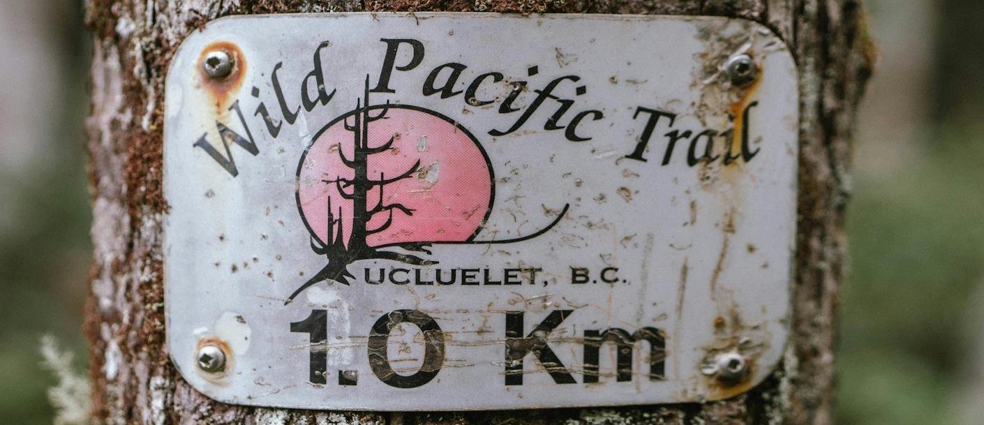 uCLUELET ©charles-van-der-essen--unsplash