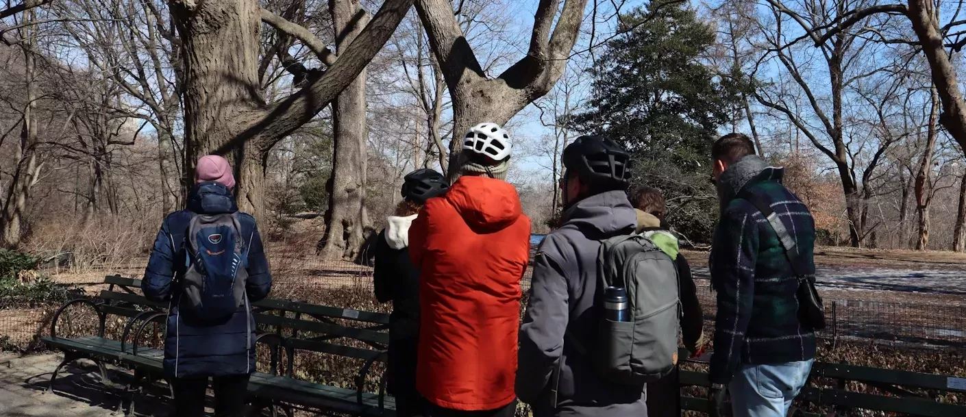 AmerikaPlus - Team Central Park